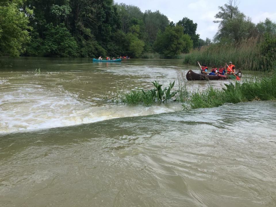 Donaupark Camping Tulln Tulln An Der Donau Εξωτερικό φωτογραφία